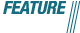 Feature Article